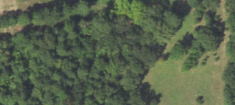 Rural Acreage with Road Frontage