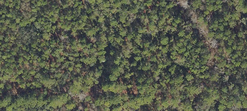 Waterfront Lake-Area Land Parcel