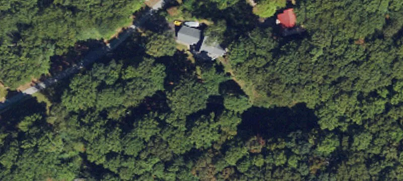 Wooded Buildable Mountain Lot