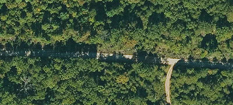 Recreational Timber Acreage