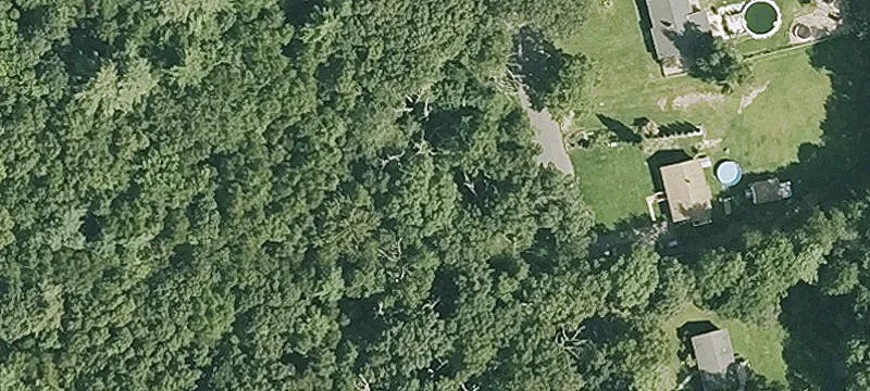 Wooded Rural Residential Lot