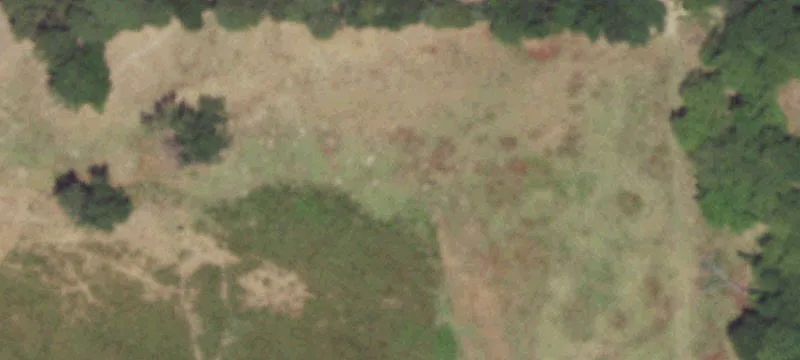 Partially Cleared Residential Acreage