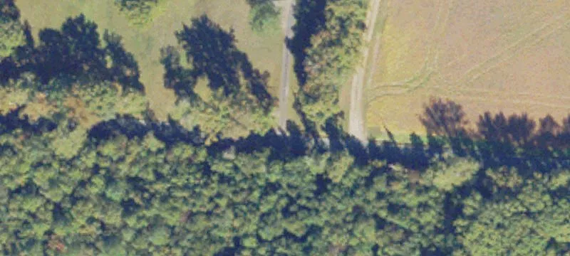 Wooded Residential Home Lot