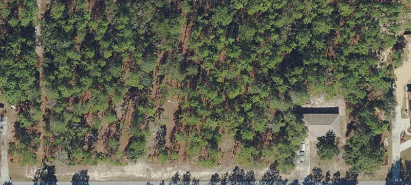 Vacant Buildable Lot in Equestrian Community