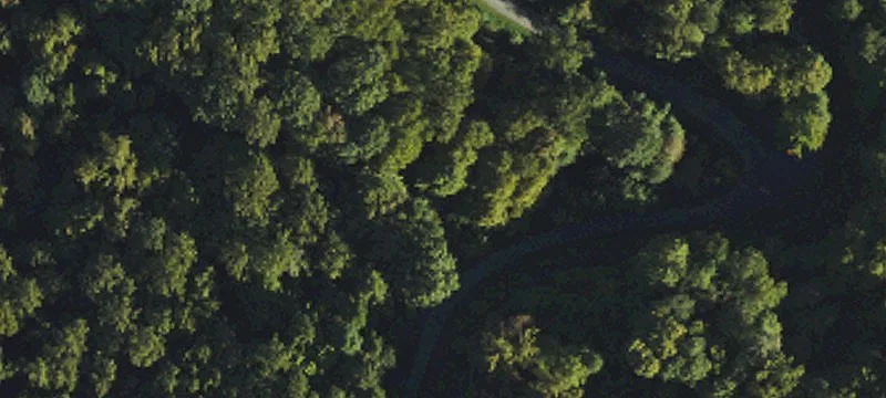 Wooded Mountain Home Lot