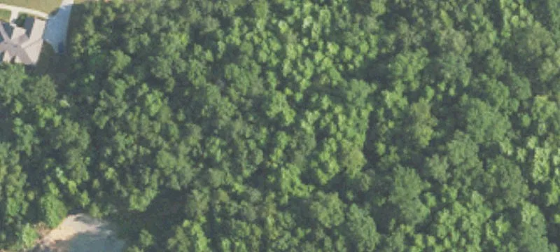 Residential Lot in Established Subdivision