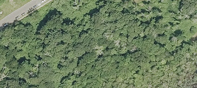 Approved Residential Building Lots