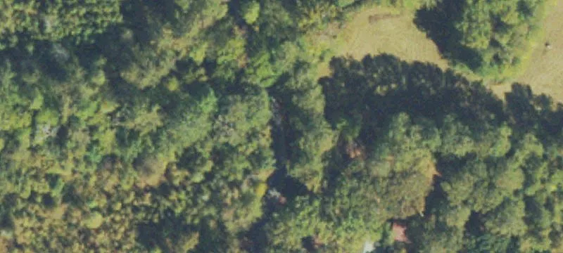 Mature Hardwood Forest Build Sites