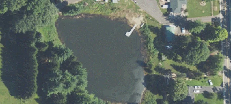 Nature-Filled Single-Family Build Lot