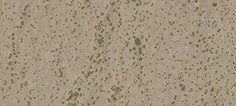 Off-Grid Horse and Livestock Land