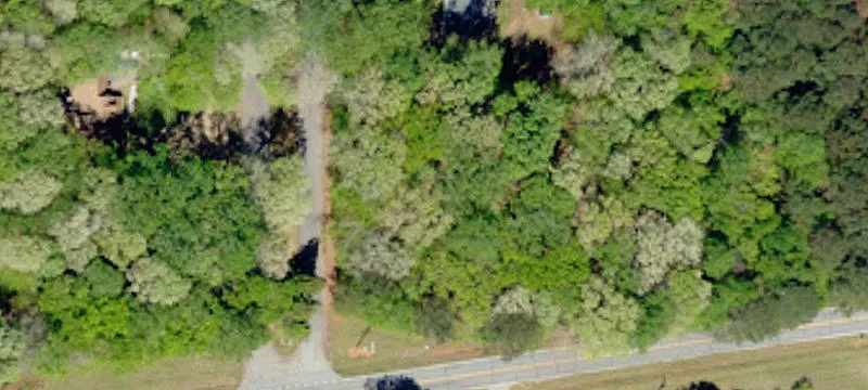 Residential Building Lot with Trees