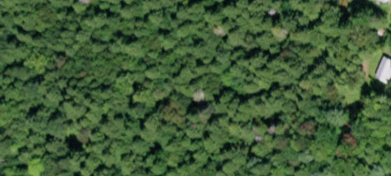 Shovel-Ready Approved Home Site