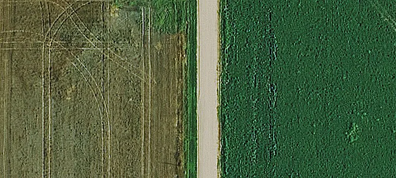 Dryland Grain Farm Land