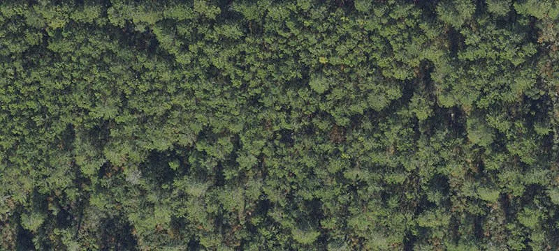 Residential Homesite with Acreage