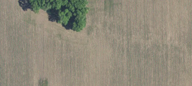 Agricultural Land for Sale