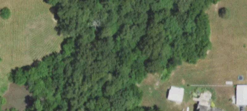 Lots/Land