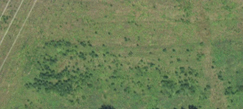 Tillable Acreage with Rural Setting