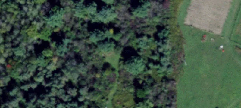 Hunting and Campground Land