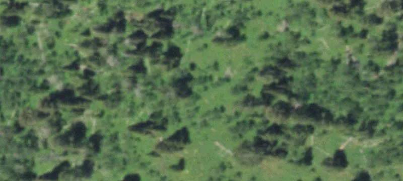 Elevated Mountain Homesite with Privacy