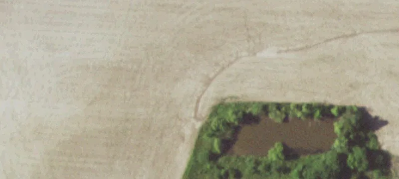 Large-Animal Veterinary Facility