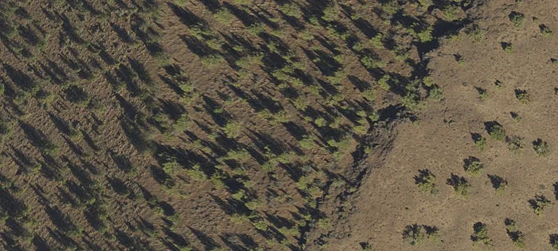 Recreation Land with Canyon Views