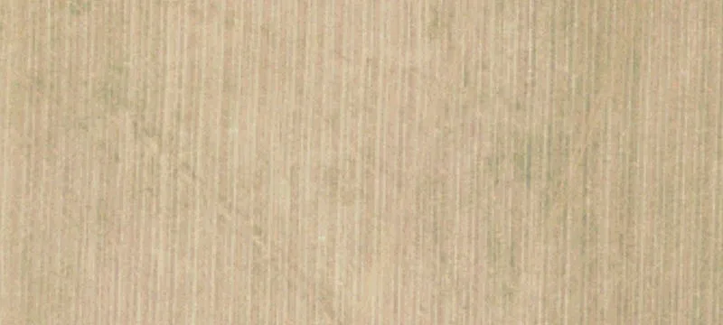 Acreage with Airstrip and Plantation