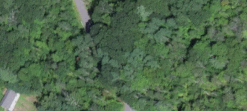 Wooded Waterfront Development Parcel
