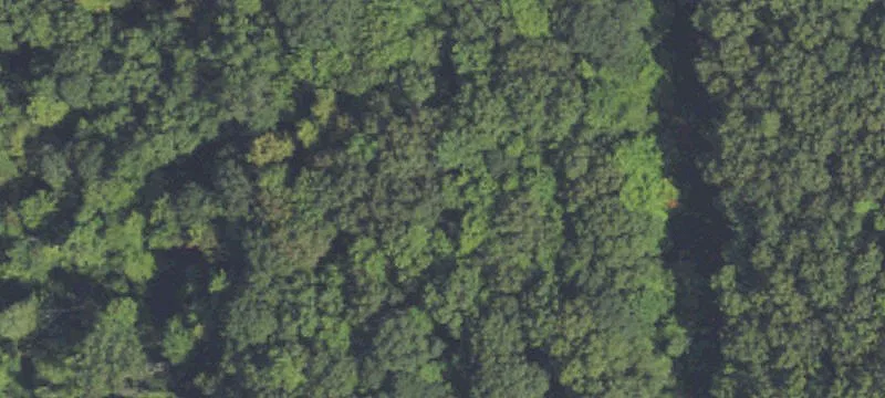 Wooded Residential Development Lot