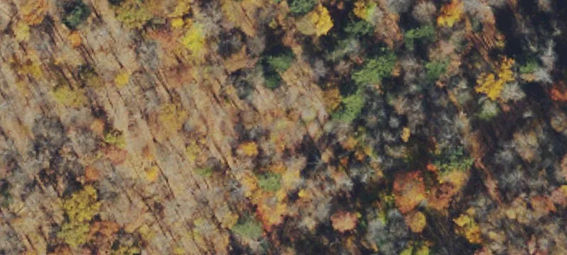 Private Wooded Recreational Land