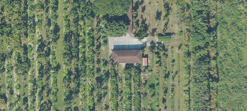 Agricultural Land with Avocado Groves