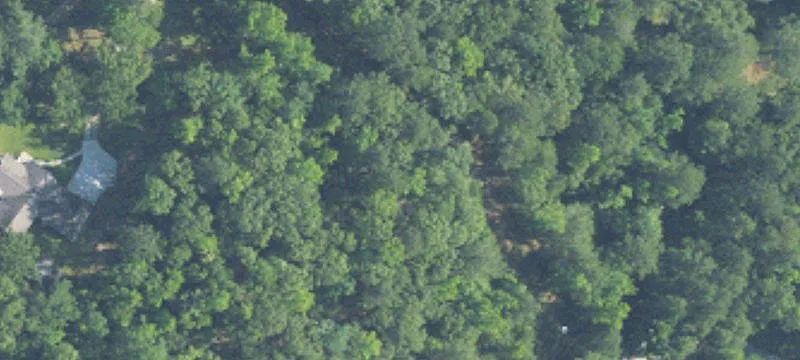 Wooded Residential Land Parcel