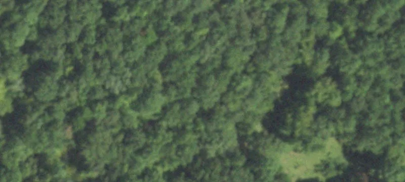 Recreational Hunting Land with Home