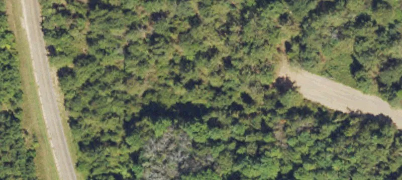 Unrestricted Hunting Land Tract