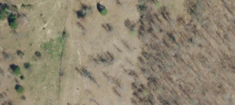 Mountain View Farm Tract