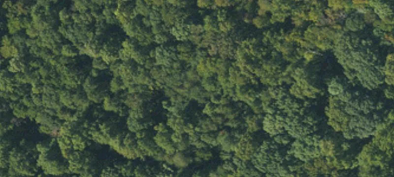 Wooded Land Development Opportunity