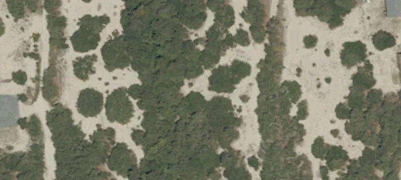 Level Homesite Lot