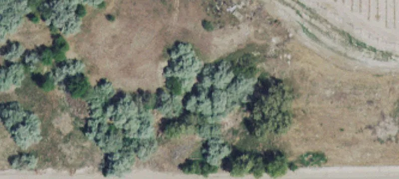 5-Acre Canal-Adjacent Farmland