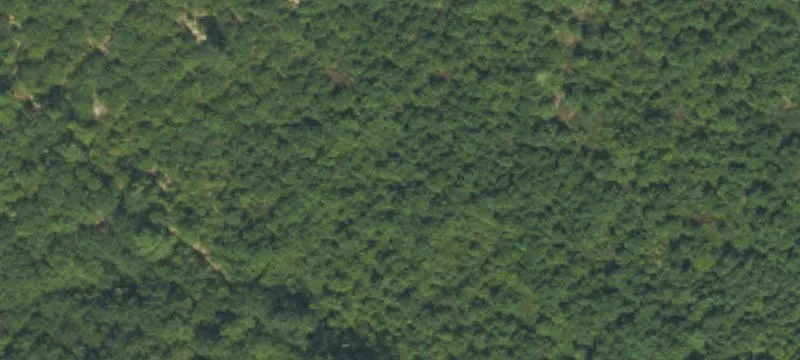 Residential Lot in Holden Ridge