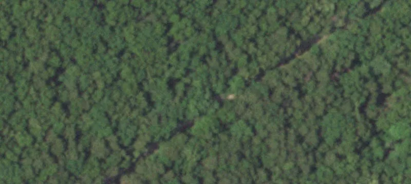 Wooded Hunting Recreation Land