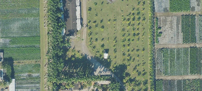 Fenced Nursery Operations Lot
