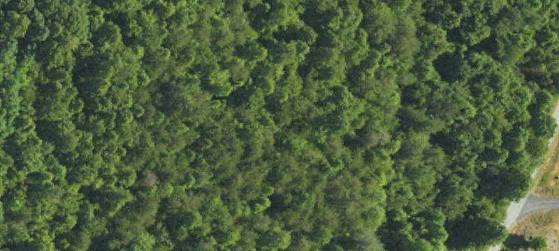 Residential Land Lot with Views