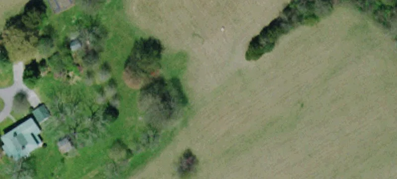 Creekside Pasture and Wooded Land