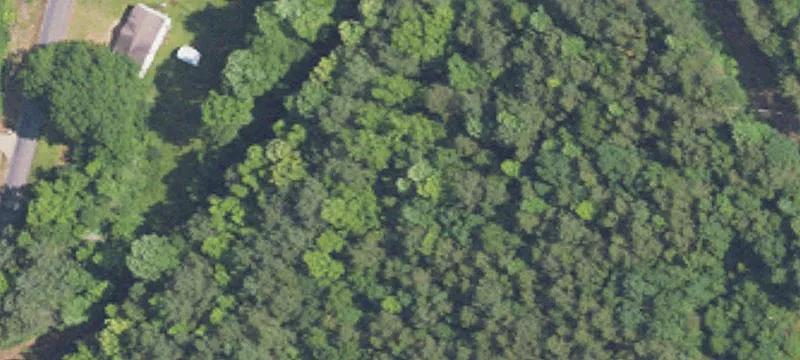 Recreational Timber Tract With Pond