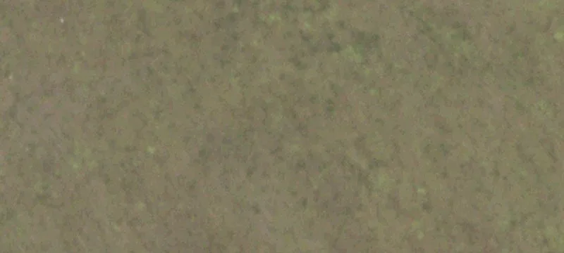 Agricultural Land Tract