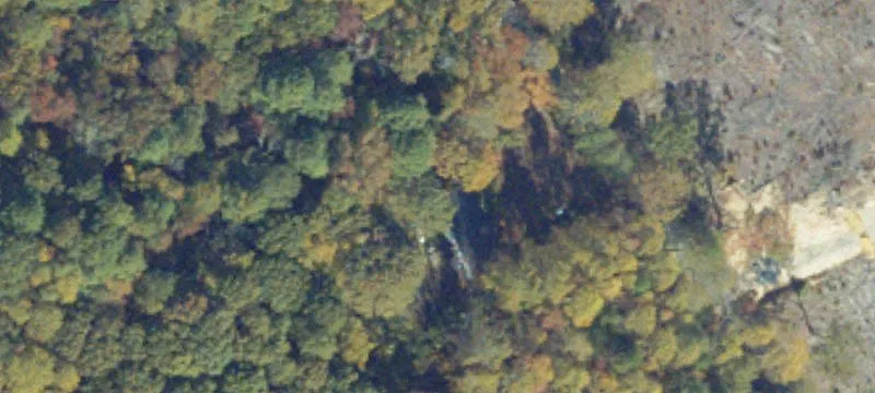 Wooded Residential Land Lot