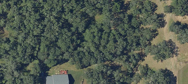 Equestrian Property with Detached Shop