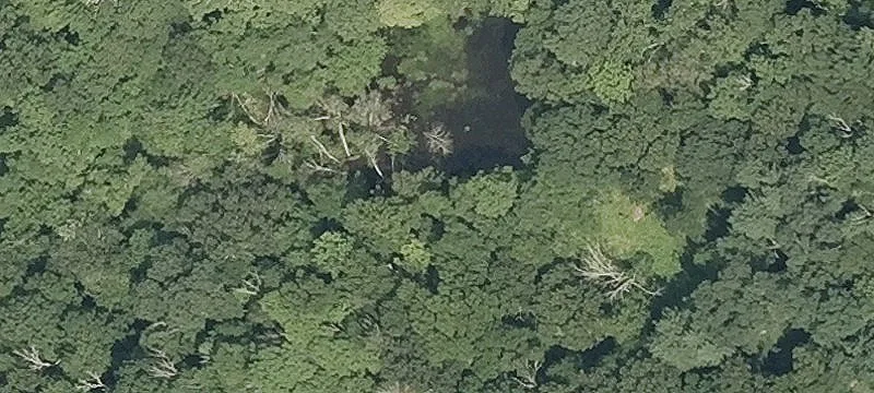Recreation-Adjacent Meadow Land Lot