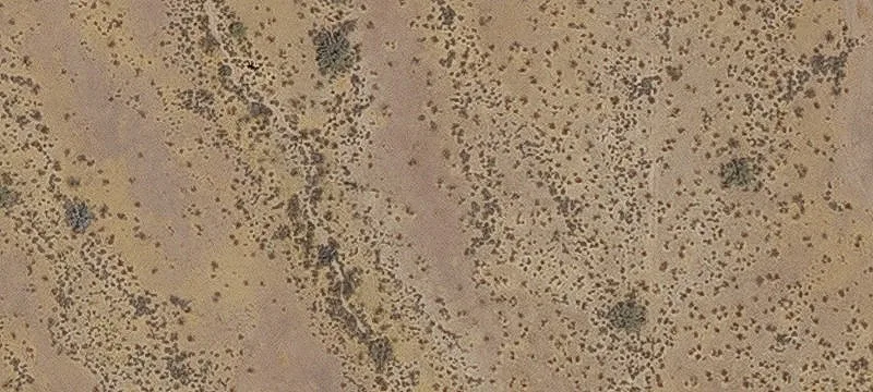 Remote Custom-Build Land Parcel