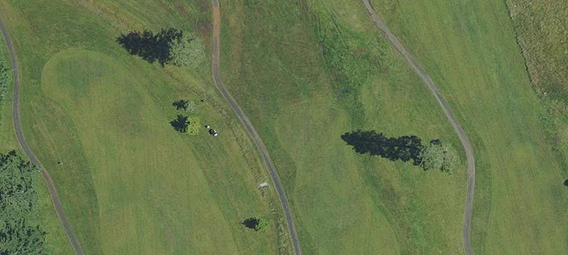 Timberland and Potential Home Site