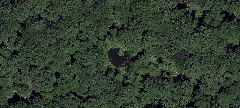 Solar-Adjacent Wooded Land